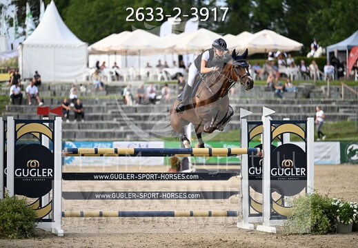 09.02-06 Gut Ising CSI**