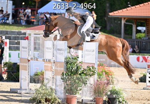 09.02-06 Gut Ising CSI**