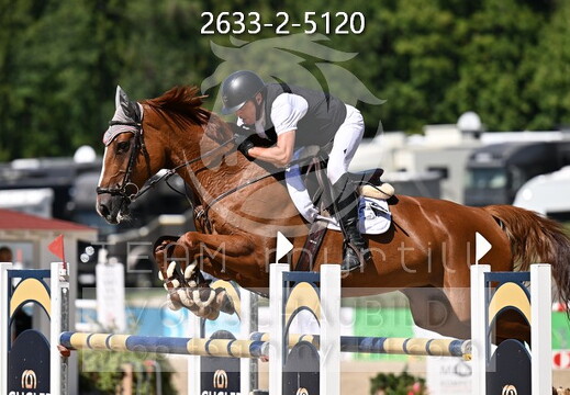 09.02-06 Gut Ising CSI**