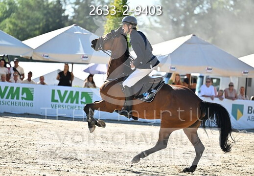 09.02-06 Gut Ising CSI**