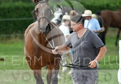 09.02-06 Gut Ising CSI**