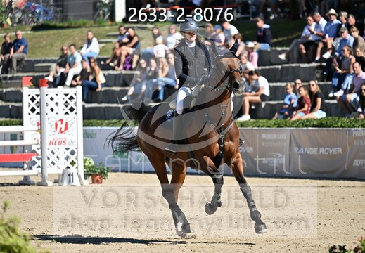 09.02-06 Gut Ising CSI**