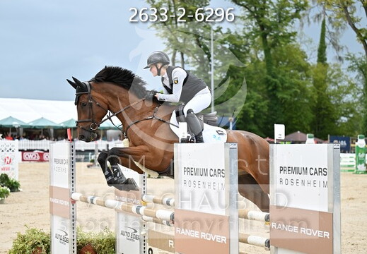 09.02-06 Gut Ising CSI**