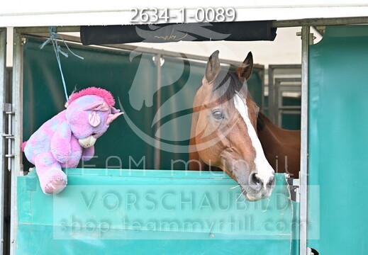 09.09-13 Gut Ising CSI**