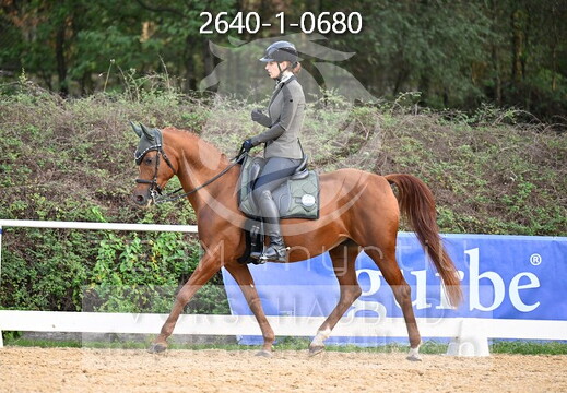 10.02-04 Stadl-Paura CWEN-C