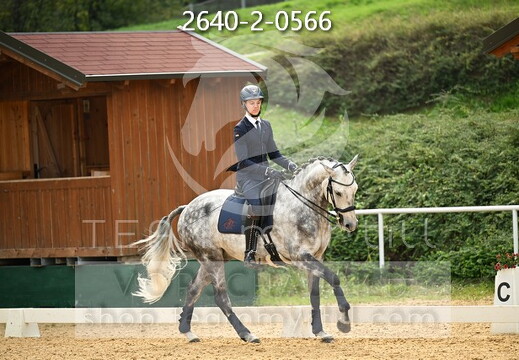 10.02-04 Stadl-Paura CWEN-C
