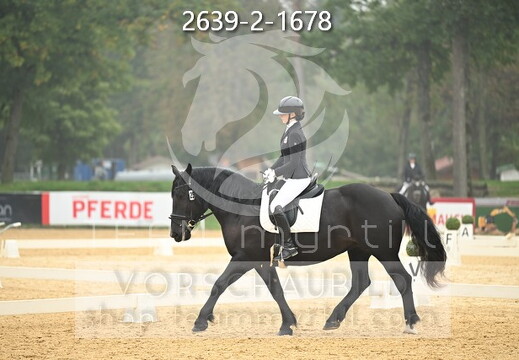 10.03 Noriker Reitpferdechampionat