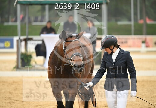 10.03 Noriker Reitpferdechampionat