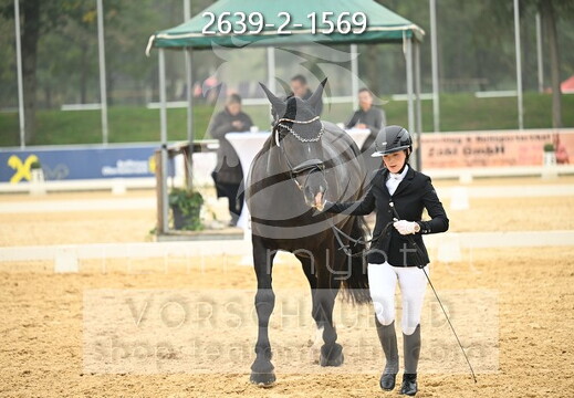 10.03 Noriker Reitpferdechampionat